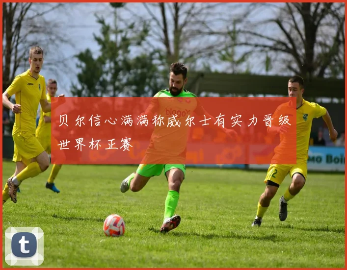 贝尔信心满满称威尔士有实力晋级世界杯正赛
